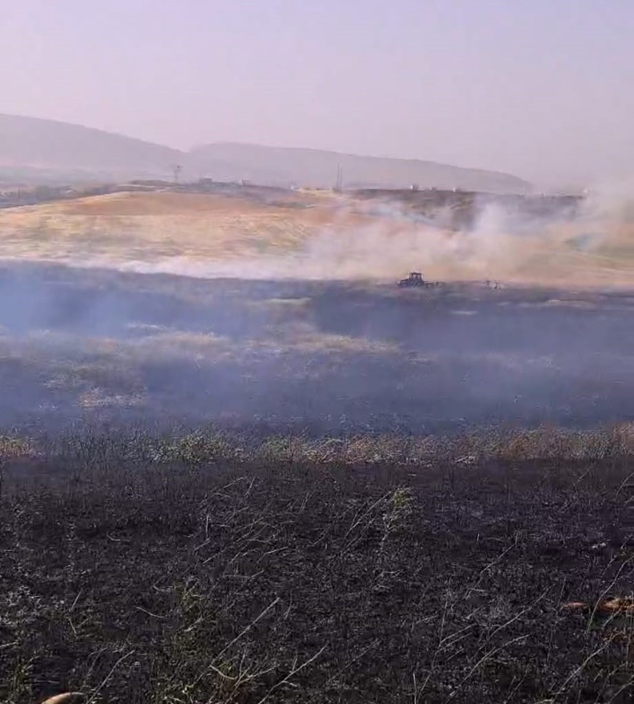 Batman&rsquo;da 60 d&ouml;n&uuml;m bi&ccedil;ilmemiş buğday k&uuml;l oldu
