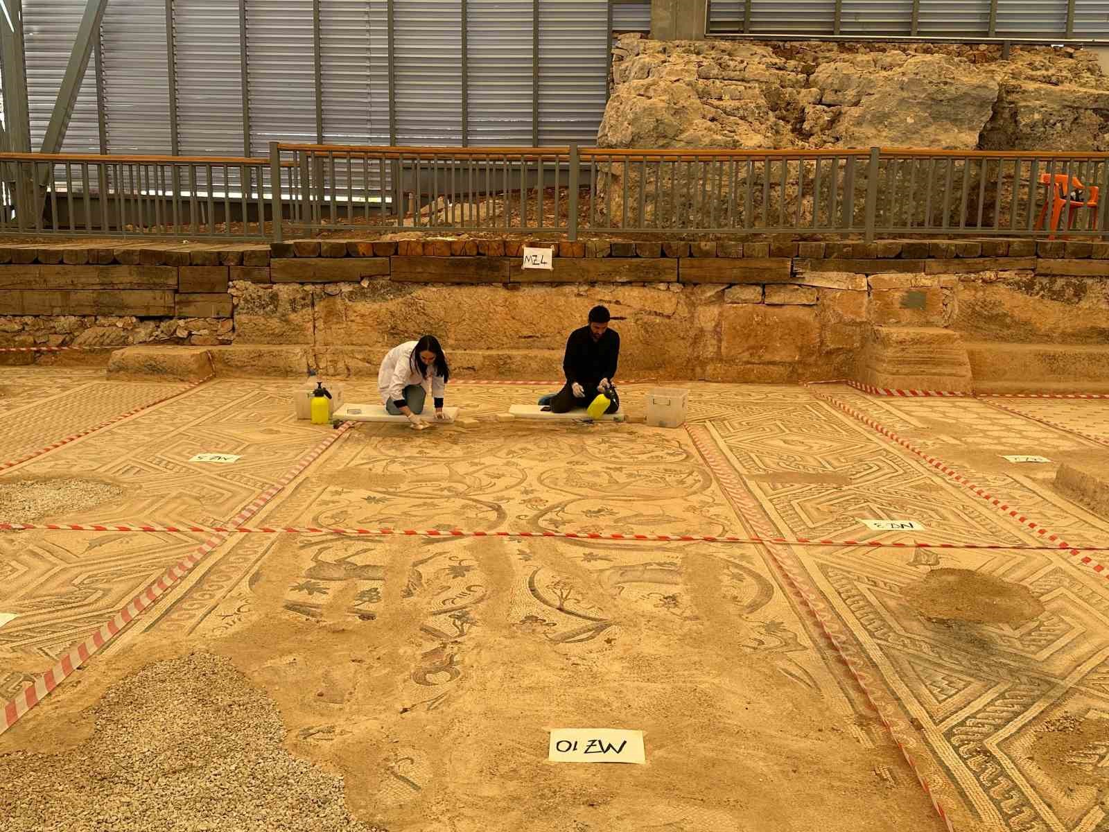 &lsquo;Cennet Bah&ccedil;esi&rsquo; mozaiğinde restorasyon ve konservasyon başladı
