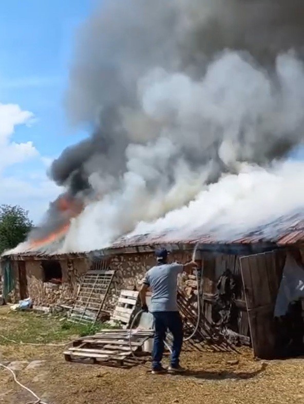 Farelerin kemirdiği kablodan çıkan yangın ahırı kül etti: 30 koyun son anda kurtarıldı