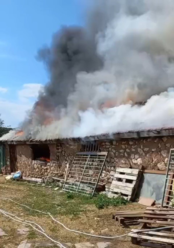 Farelerin kemirdiği kablodan &ccedil;ıkan yangın ahırı k&uuml;l etti: 30 koyun son anda kurtarıldı
