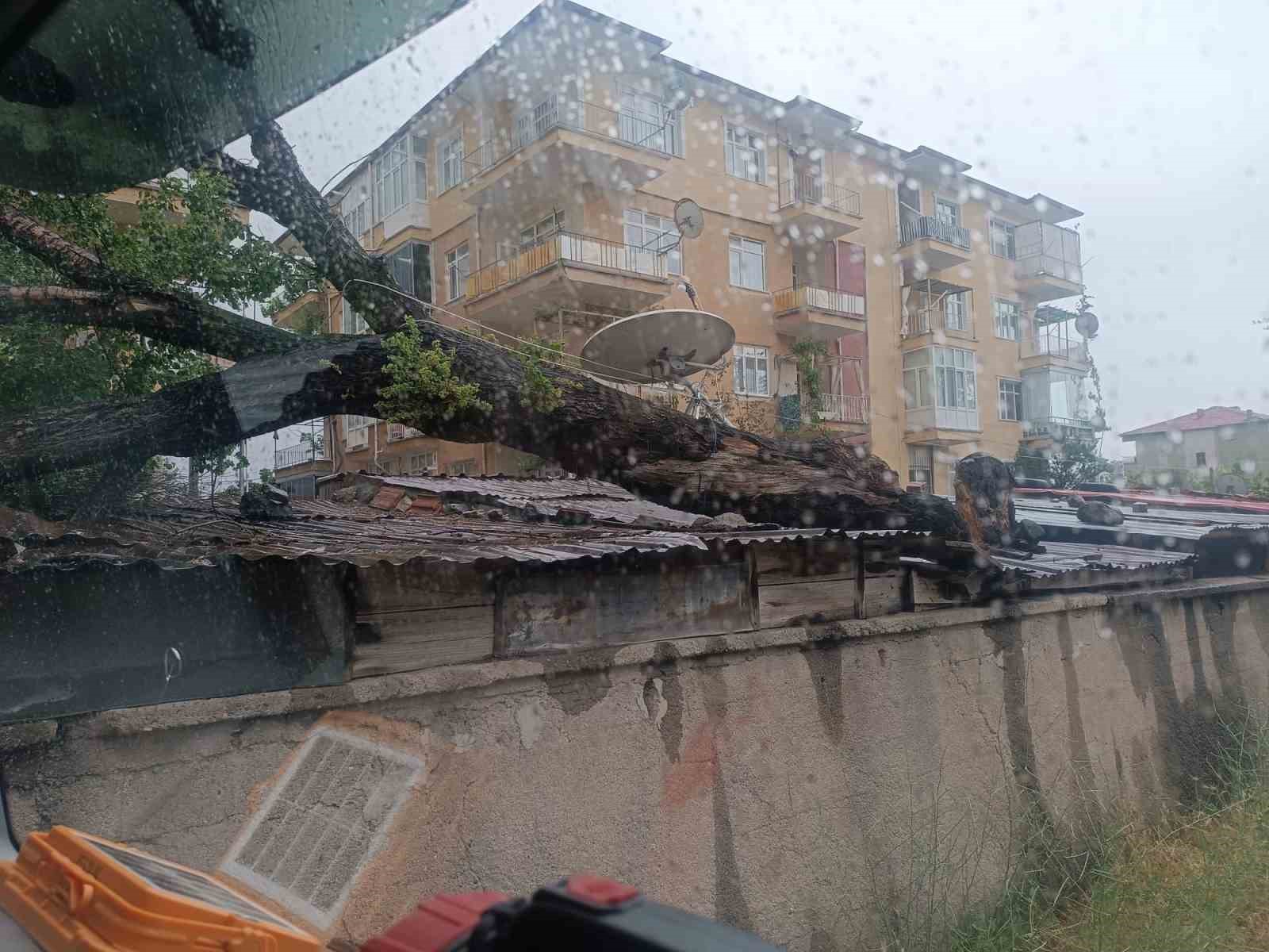 Kırıkkale’de fırtına ağacı devirdi