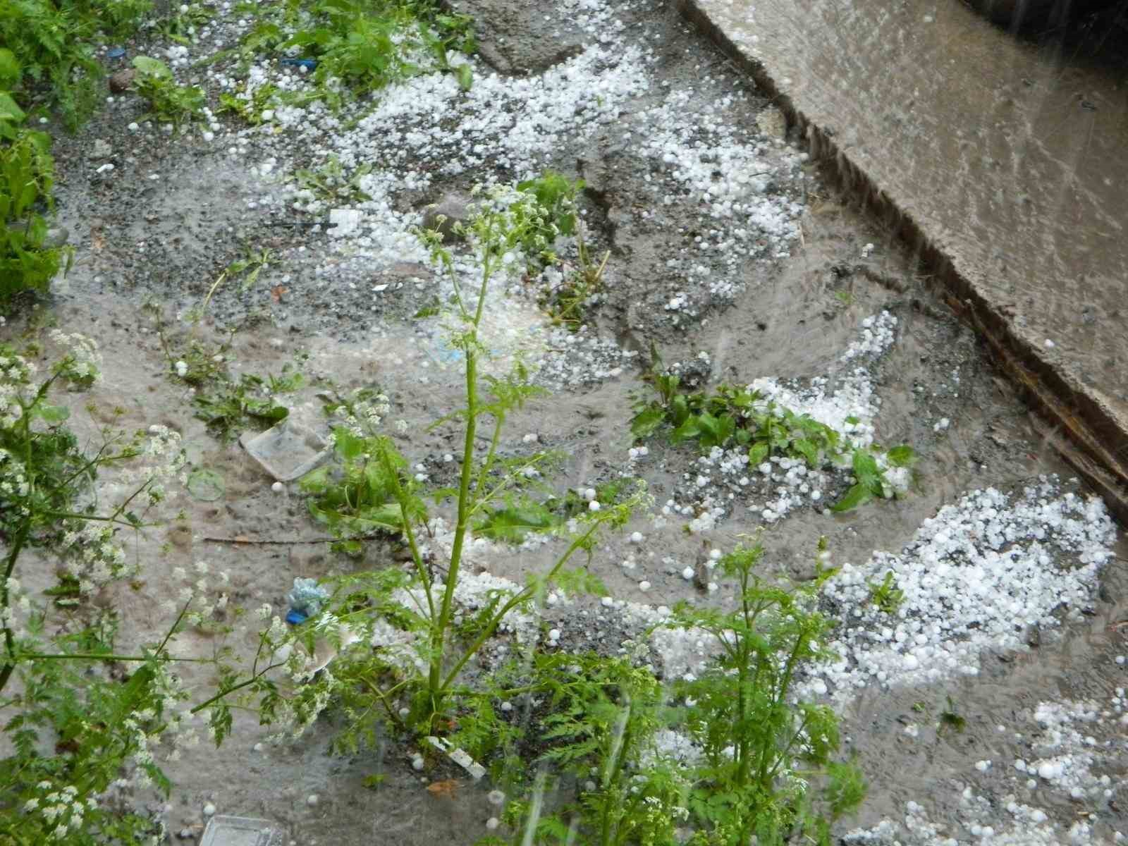 Posof’ta dolu etkili oldu