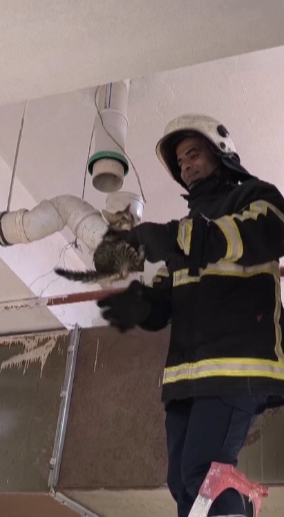 Boru içinde mahsur kalan yavru kedinin yardımına itfaiye ekipleri yetişti