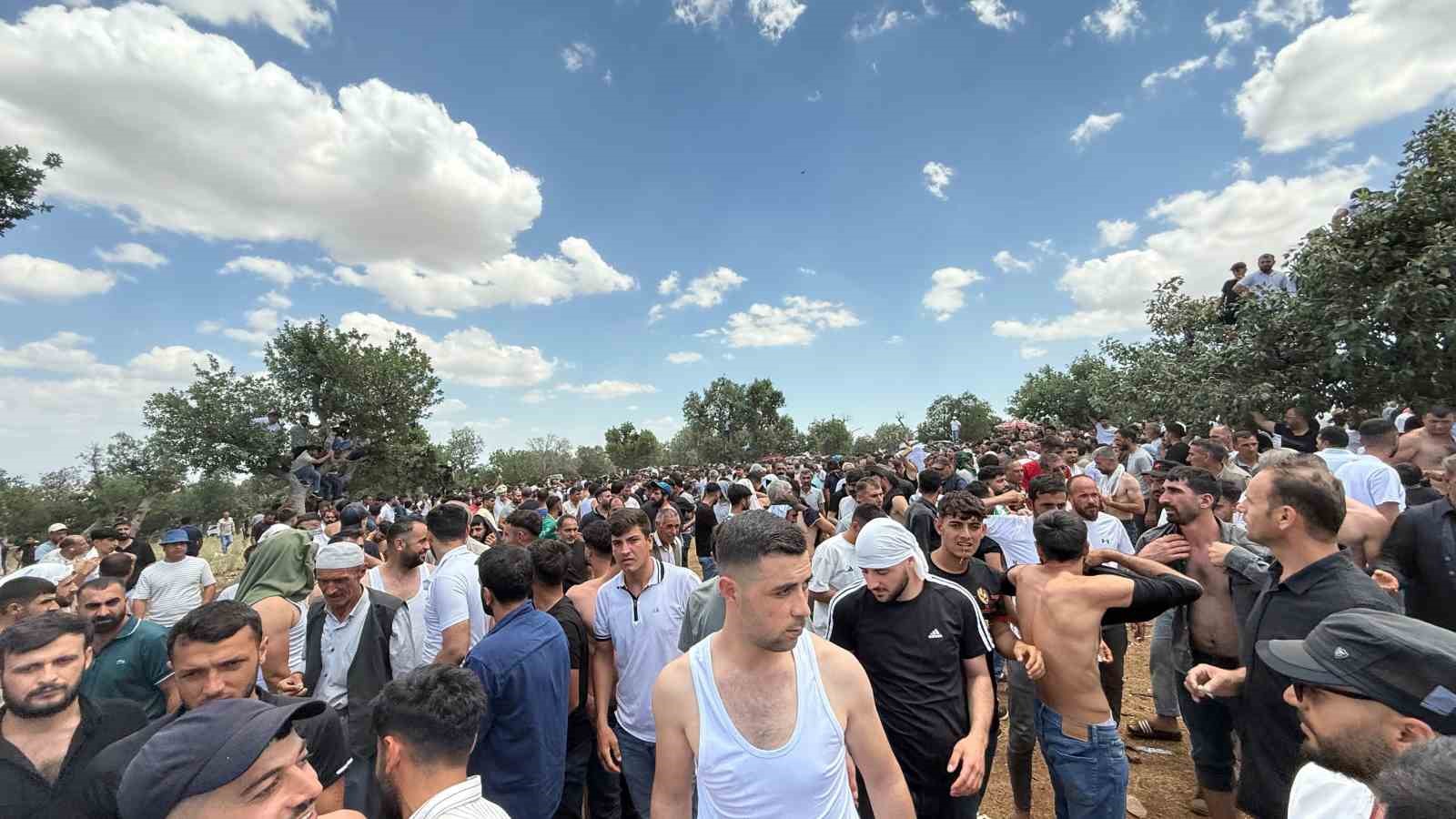 Diyarbakır’da asırlık gelenekte bir araya gelen gençler birbirlerini kırbaçlıyor
