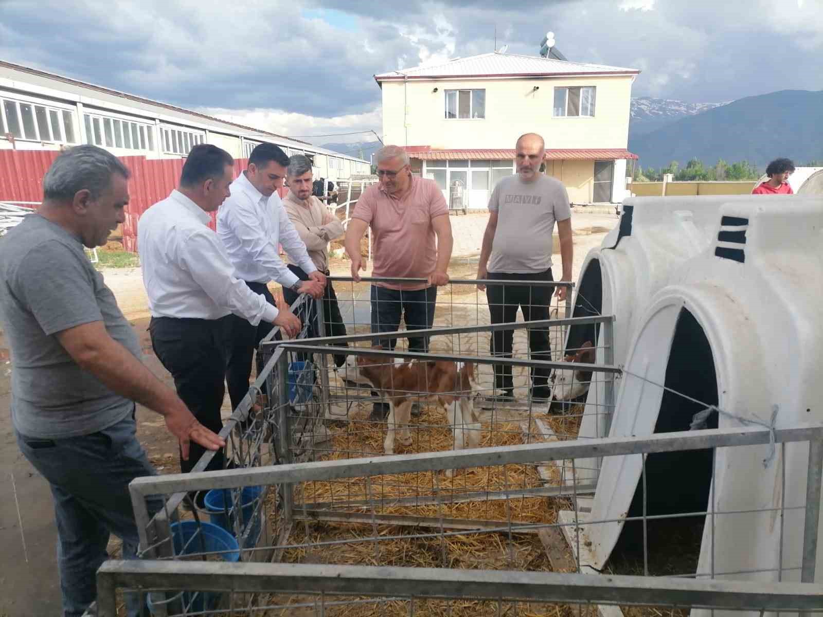 İl Genel Meclisi üyeleri, Çatalarmut GES sahasında incelemelerde bulundu