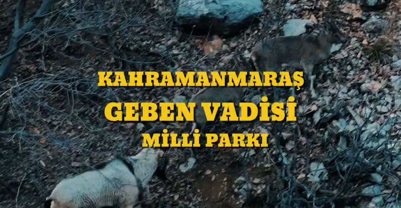 Bakan Yumaklı: "Kahramanmaraş Geben Vadisi, milli park statüsüne kavuştu"