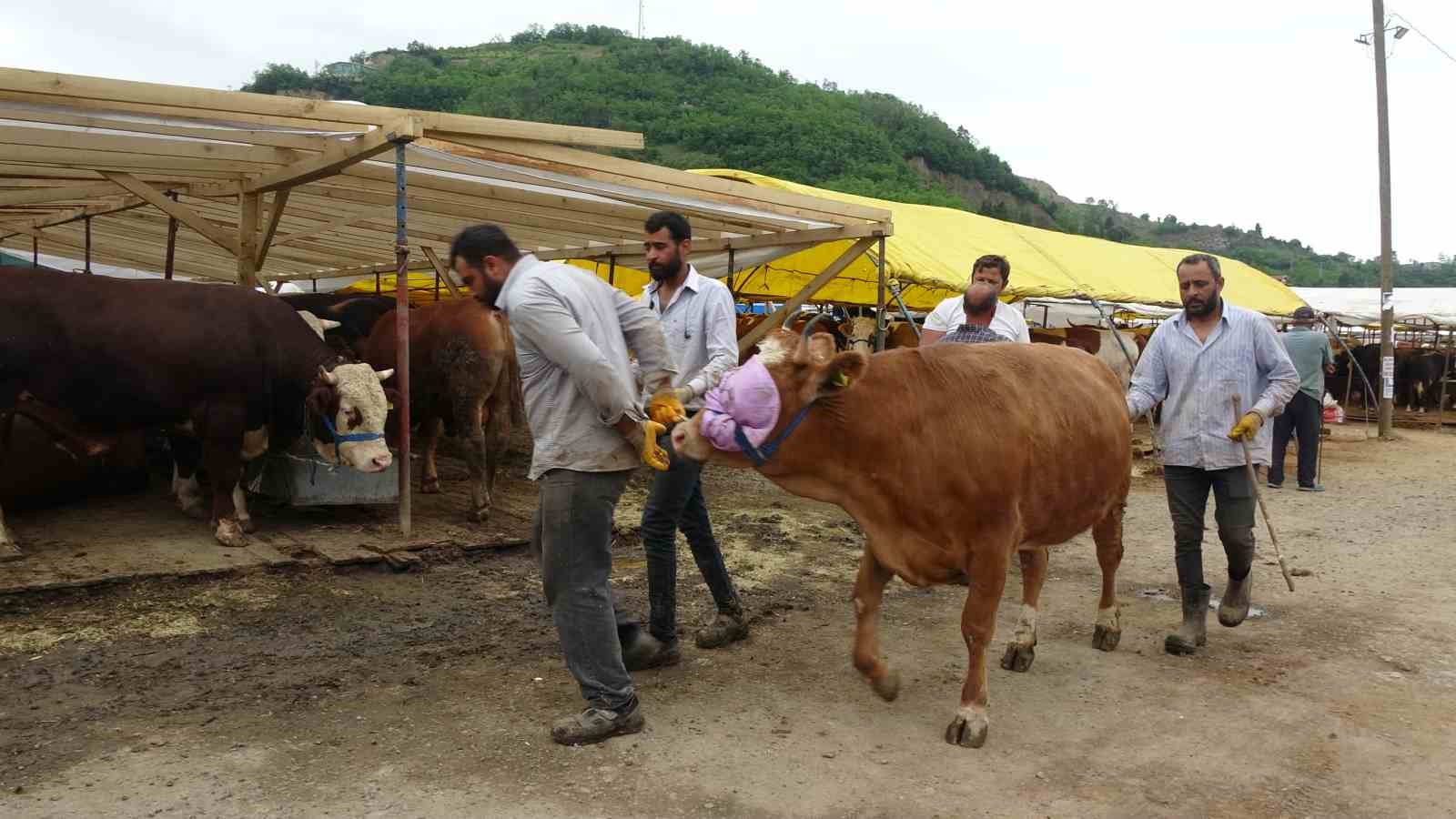 Kol kıran pazarlık