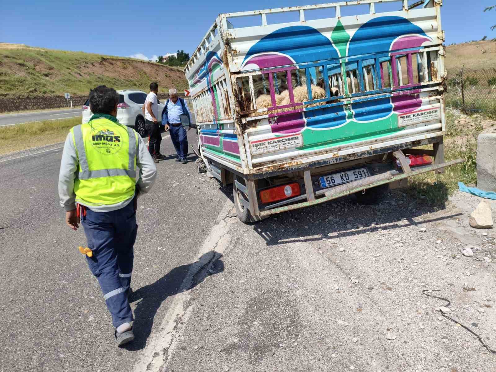 Siirt’te kurbanlıkları taşıyan araç kaza yaptı