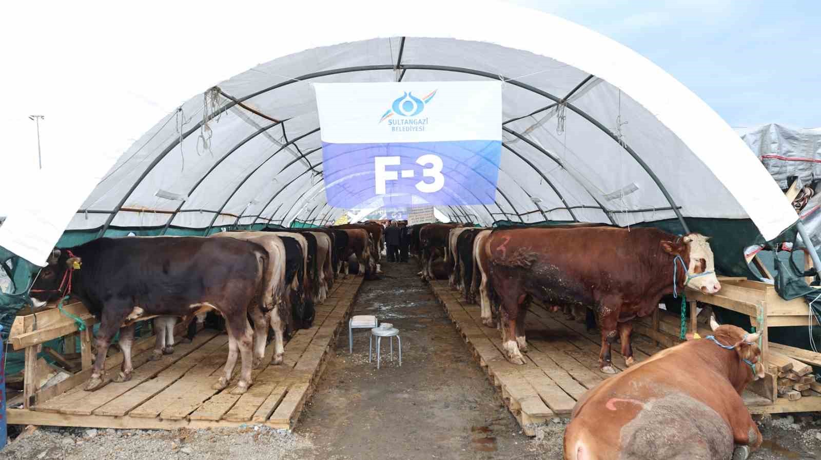 Sultangazi Belediyesi kurban alanında bayram hareketliliği