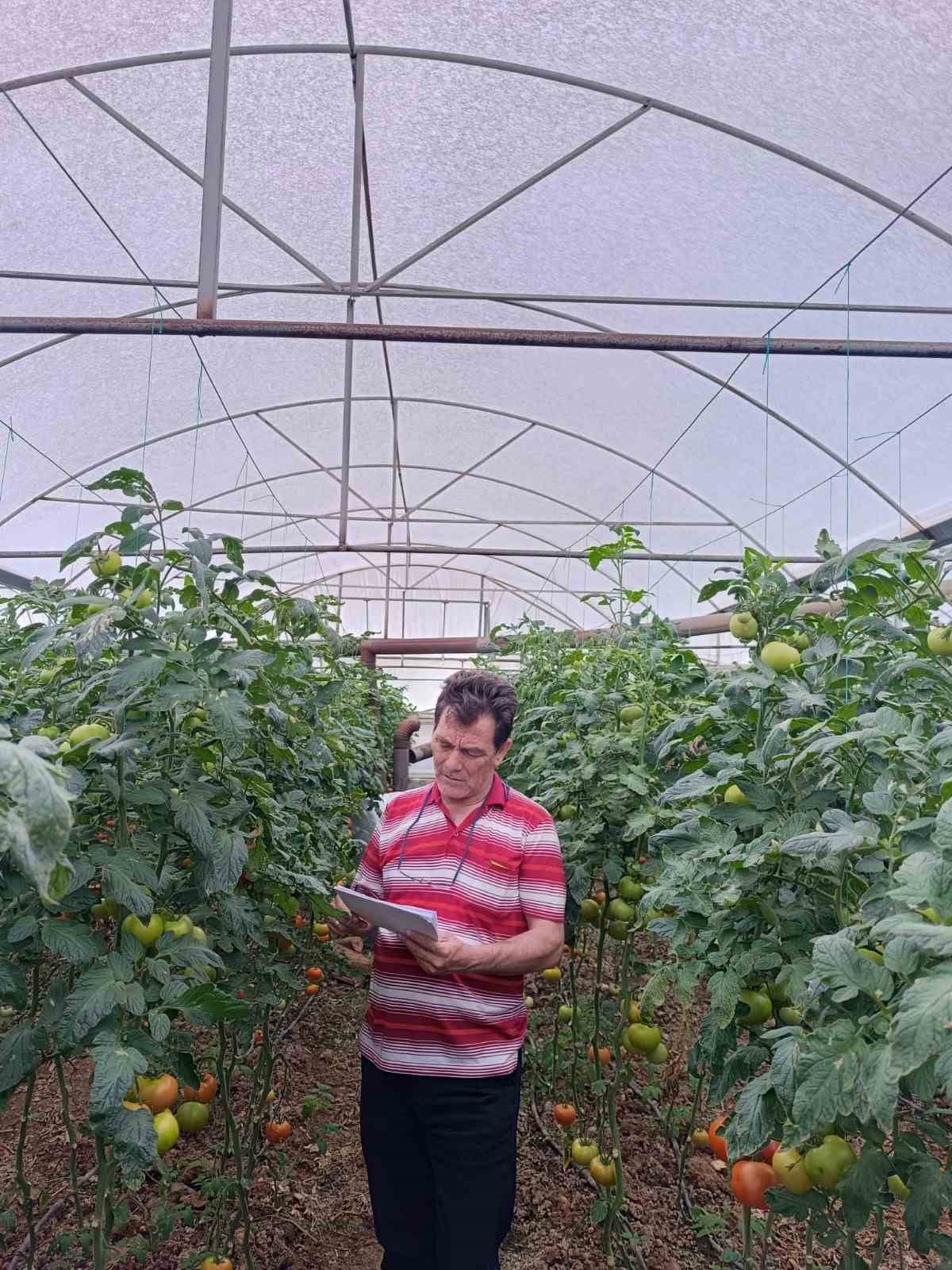 Serik’te dolu tarım arazilerine zarar verdi, hasar tespit çalışması başlatıldı