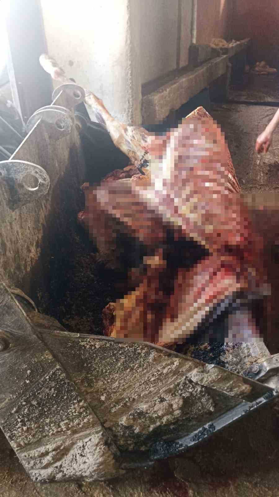 Adana’da 2,5 ton at eti ele geçirildi