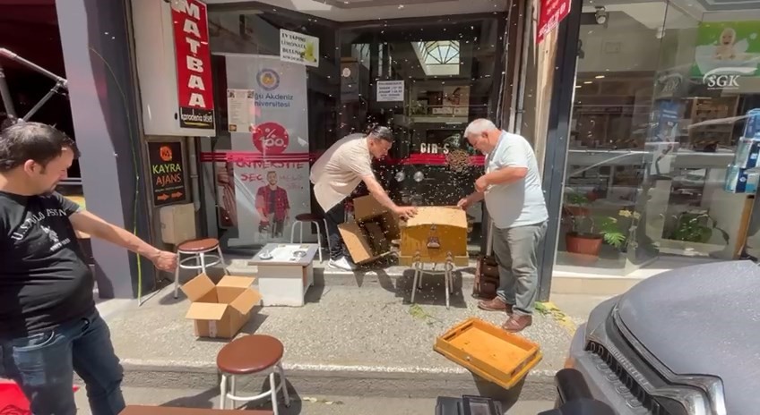 Binlerce arı iş merkezini bastı