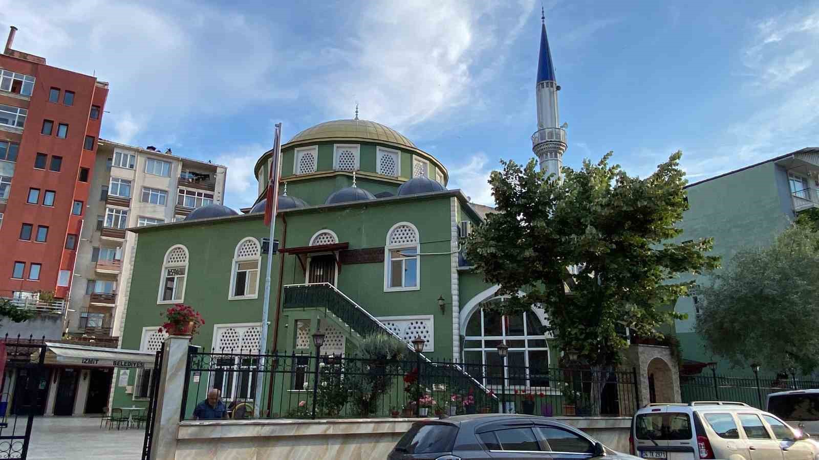 Ihlamur toplamak için çıktığı ağaçtan düşerek demir korkuluklara saplandı
