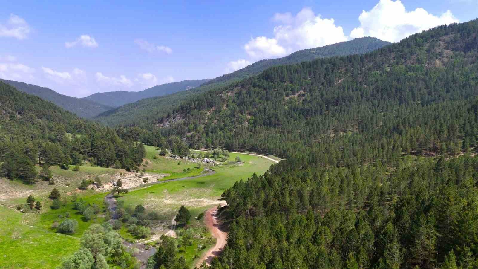 Geben Vadisi milli park oldu
