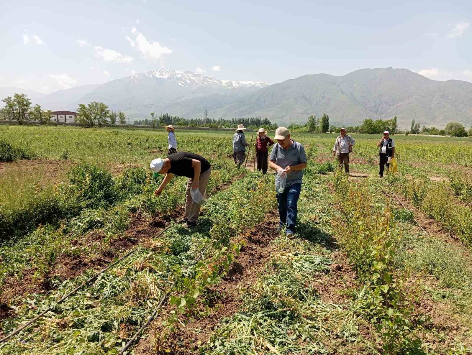 Sahada survey çalışması yapılıyor