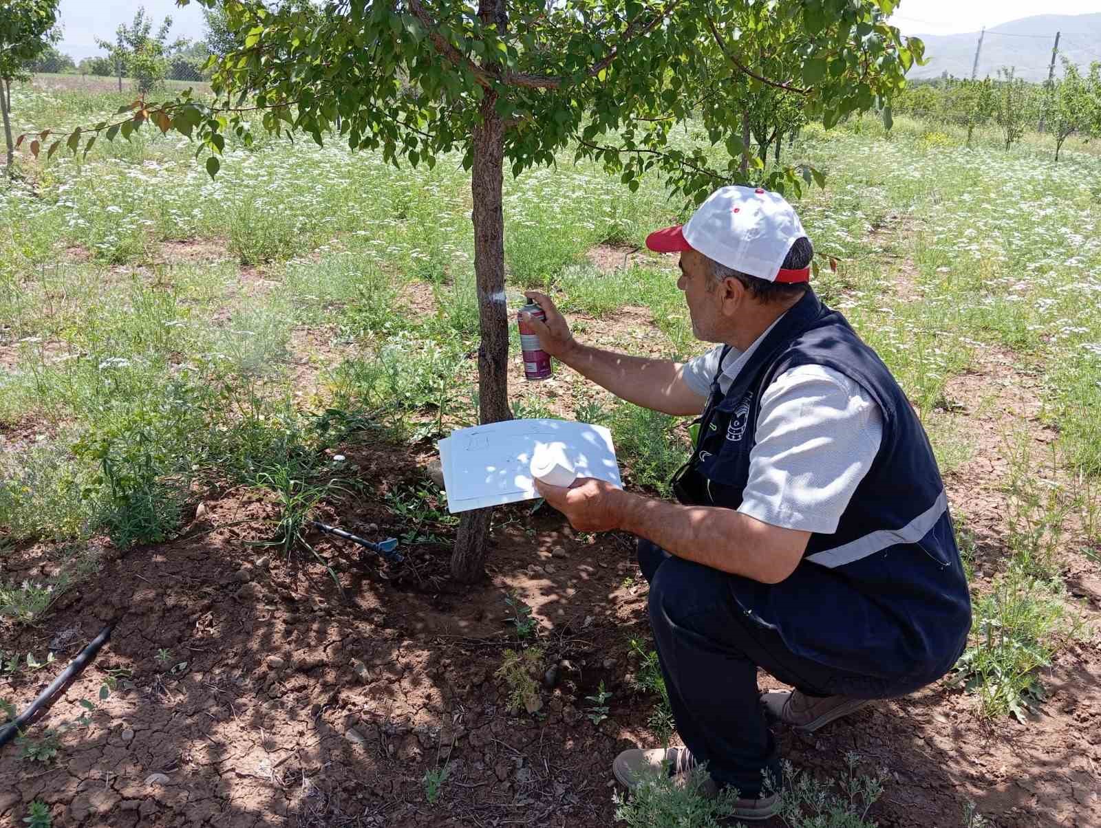 Sahada survey çalışması yapılıyor