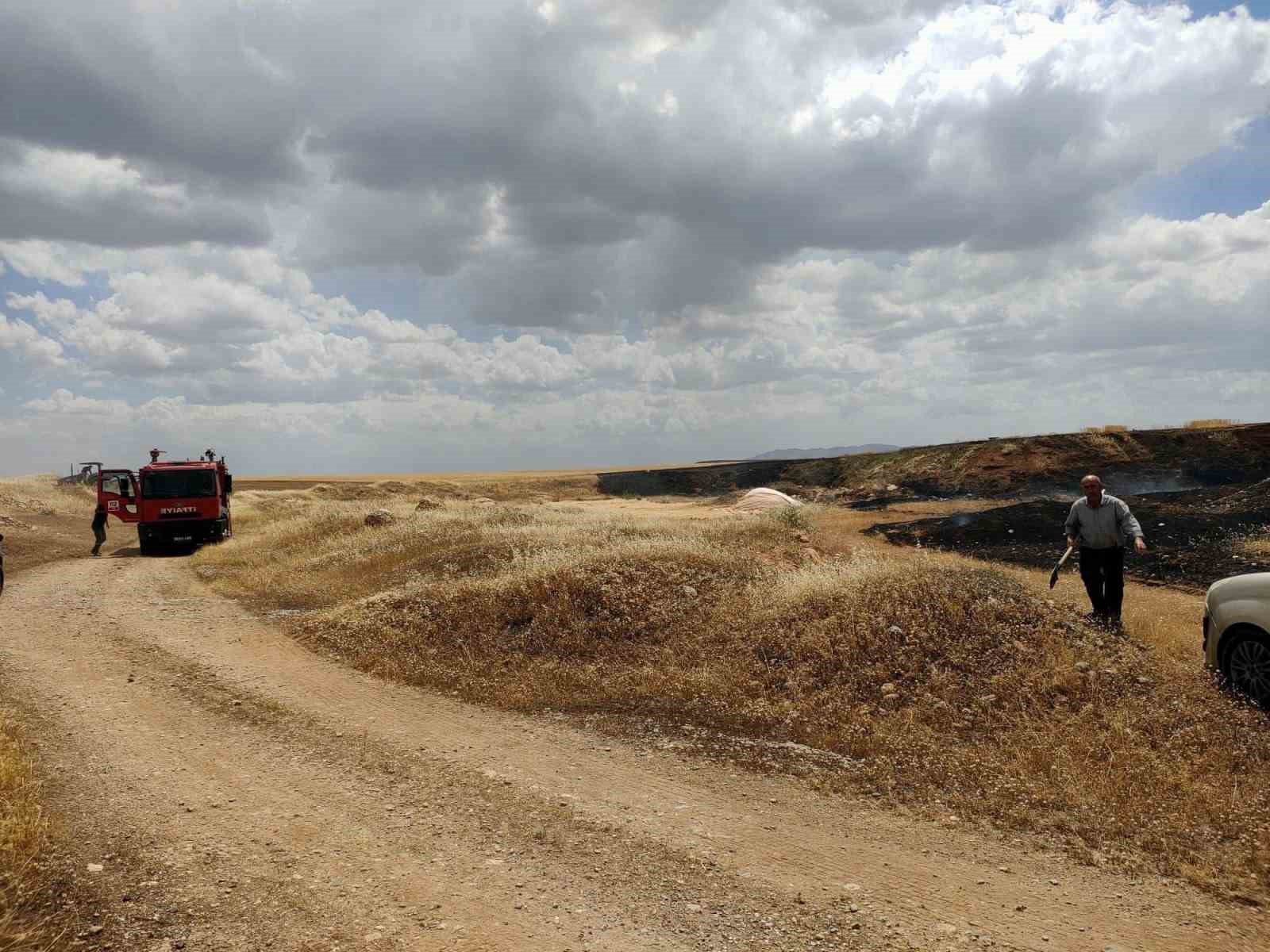 Siirt&rsquo;te &ccedil;ıkan yangında ekili alanlar zarar g&ouml;rd&uuml;
