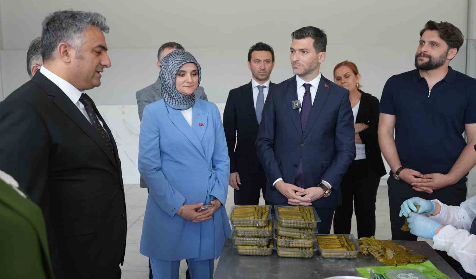 Erbaa’da coğrafi işaretli ürünler için farkındalık programı