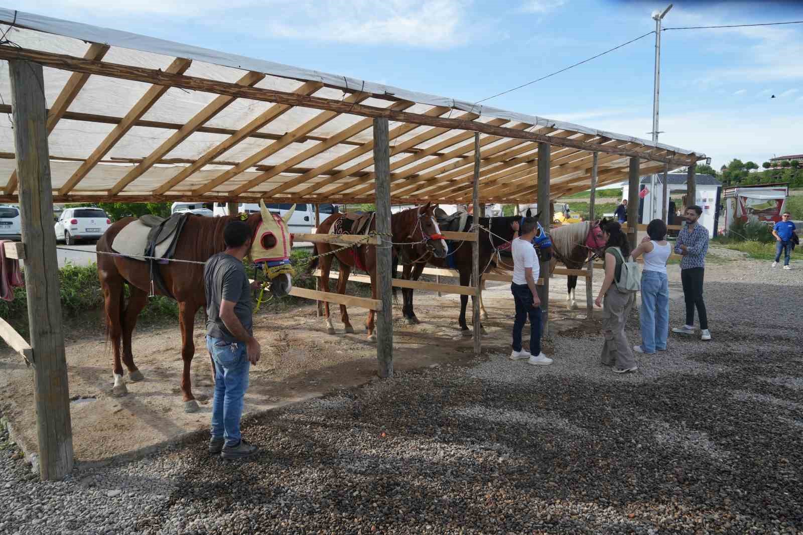 Muş’ta atlı binicilik kulübü, ata sporunu gelecek nesillere aktarıyor