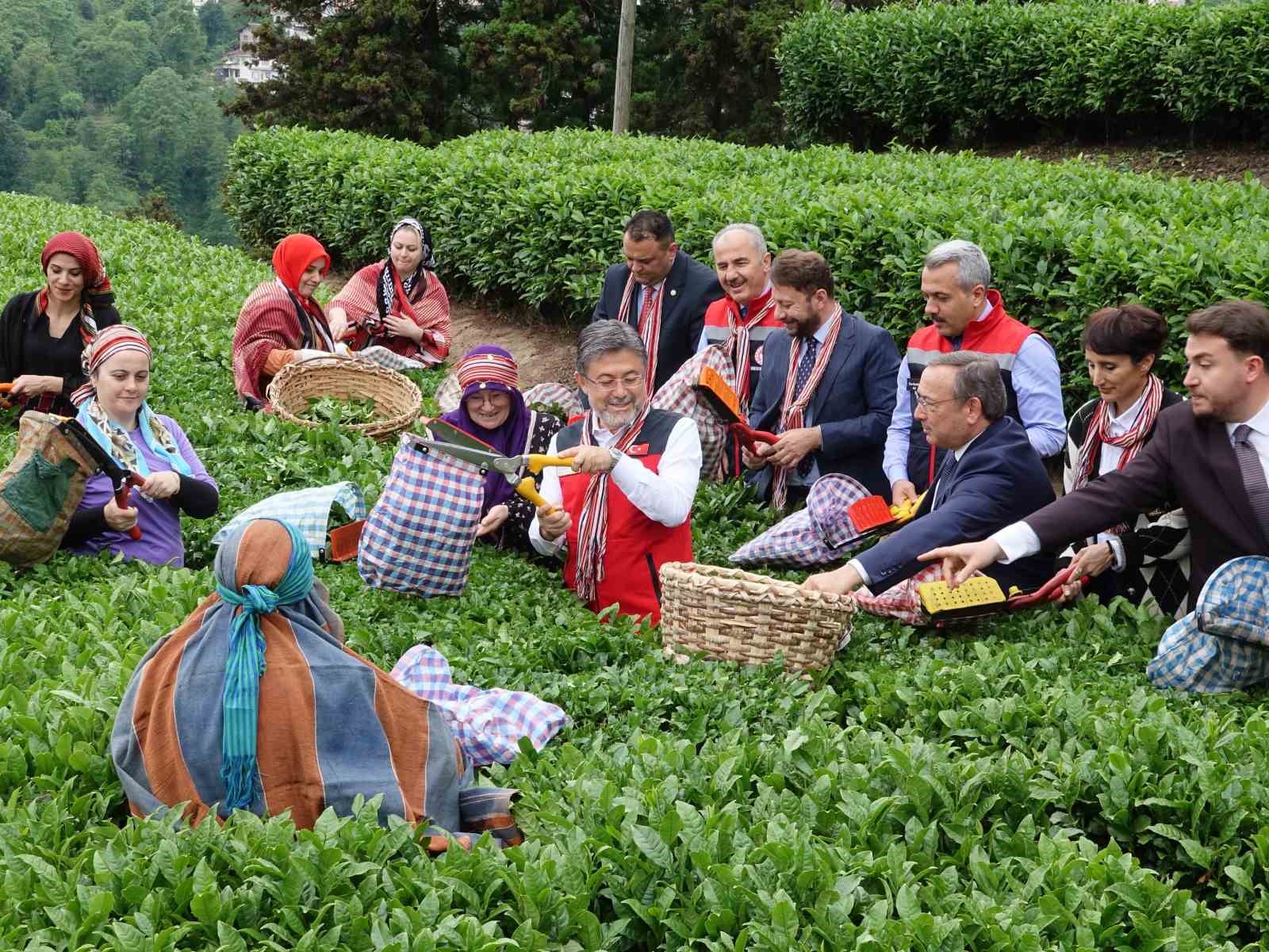 Bakan İbrahim Yumaklı: "Meteorolojik olayların çaya bizim korktuğumuz kadar bir etkisi olmadı"