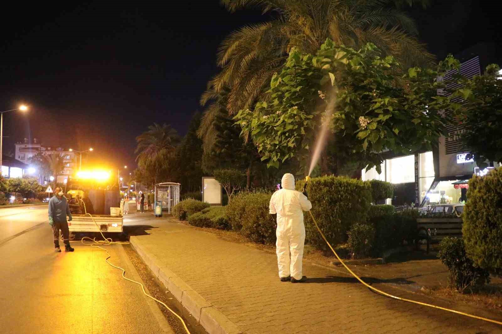 Alanya&rsquo;da yeşil alanlarda zirai m&uuml;cadele
