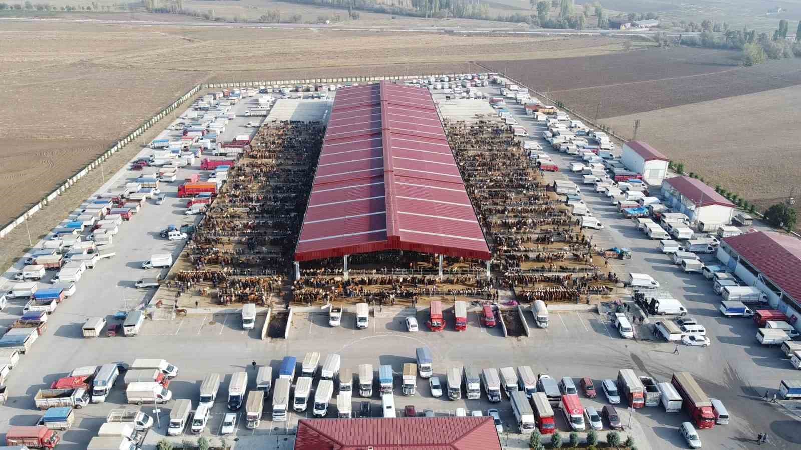 Çoru’da kurban pazarı yarın açılıyor