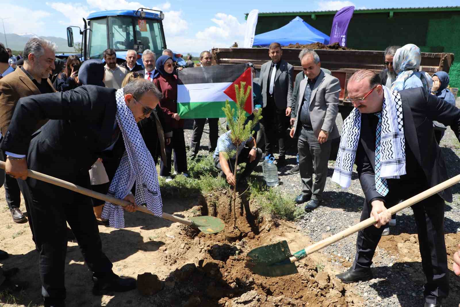Gazze hatıra ormanında umut yeşerecek