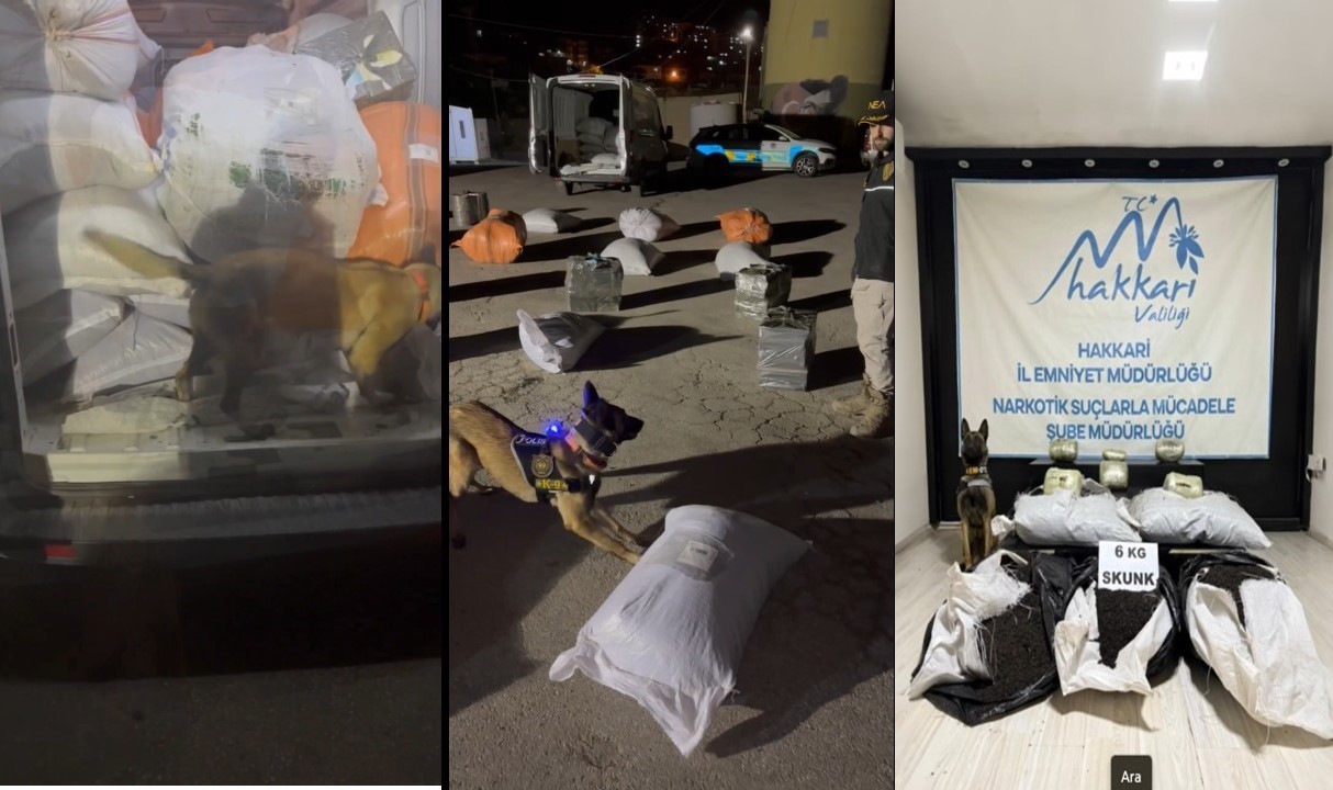 Yüksekova’da kargo aracında 6 kilo skunk ele geçirildi
