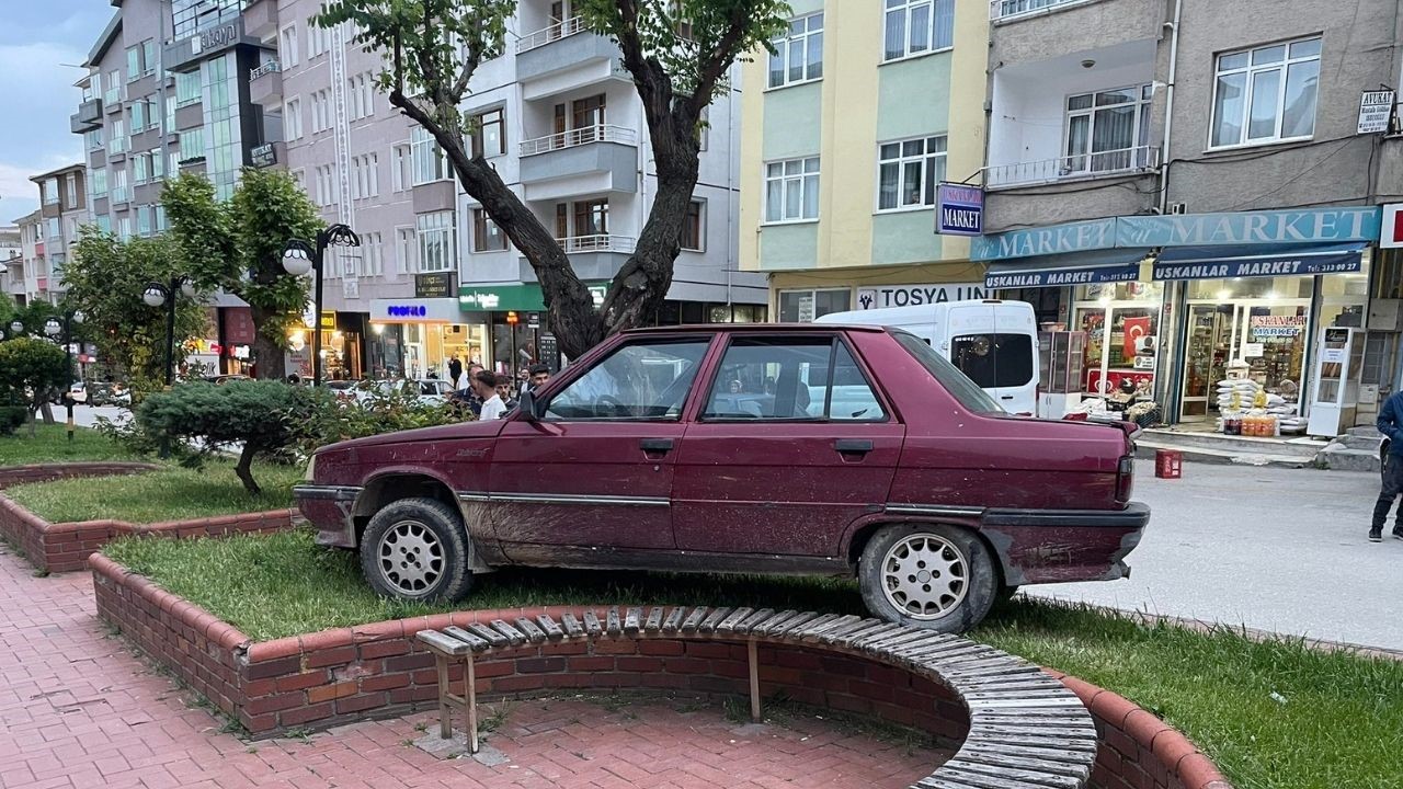 Park halindeyken haraket eden otomobil ağaraca &ccedil;arparak durabildi
