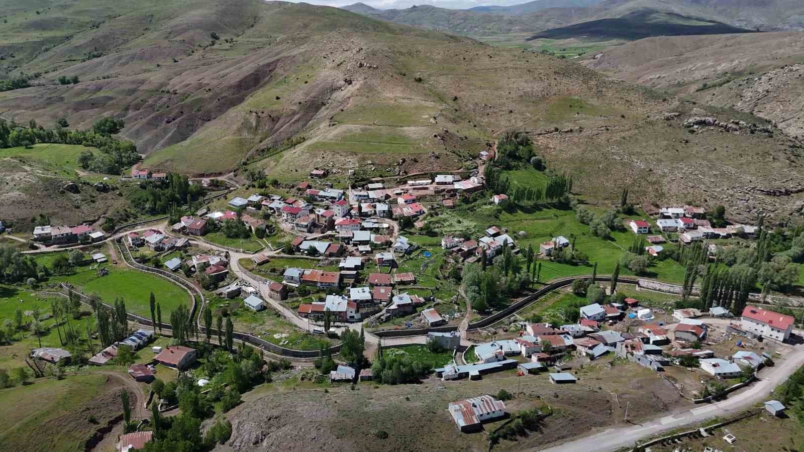 Türk ve Japon bilim adamları Sivas ve çevresinde ölümcül kenelerle ilgili bilimsel saha çalışması başlattı