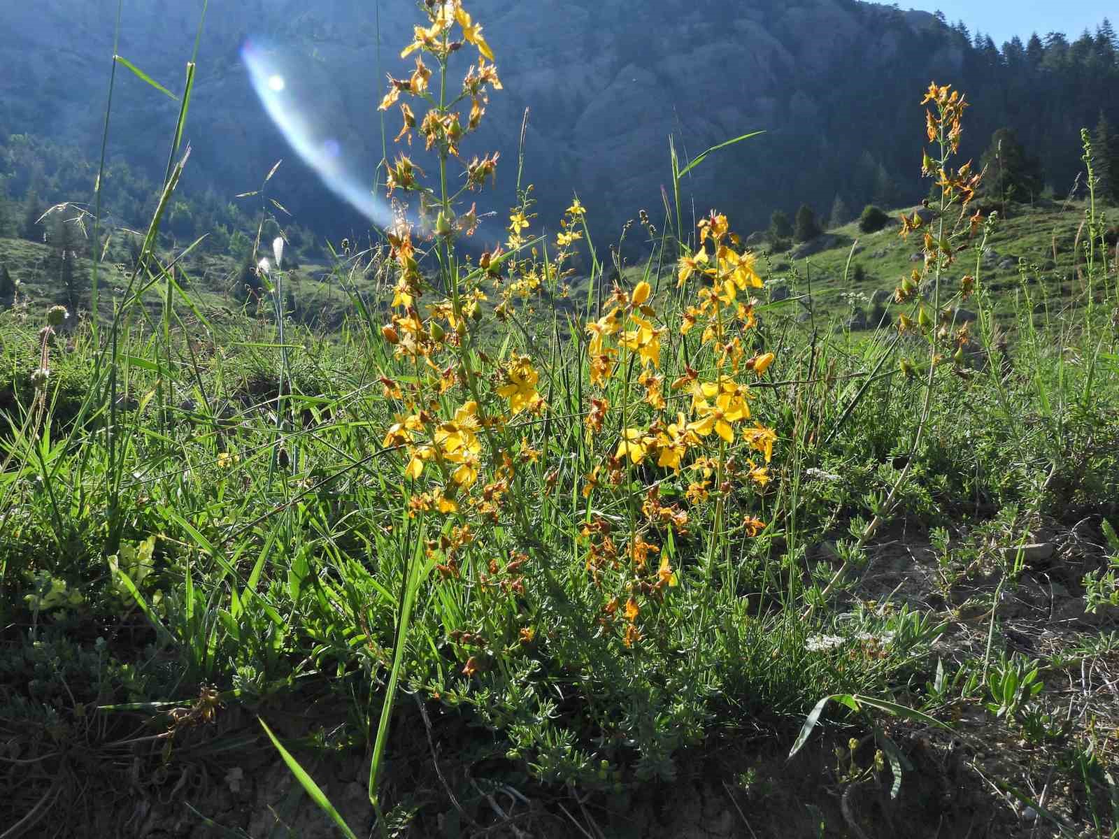 Kahramanmaraş Geben Vadisi Milli Park ilan edildi