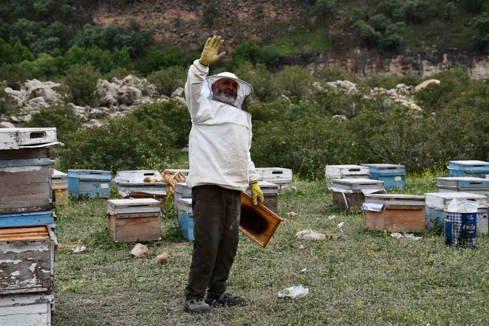 Arıcılar doğal bal i&ccedil;in yollarda
