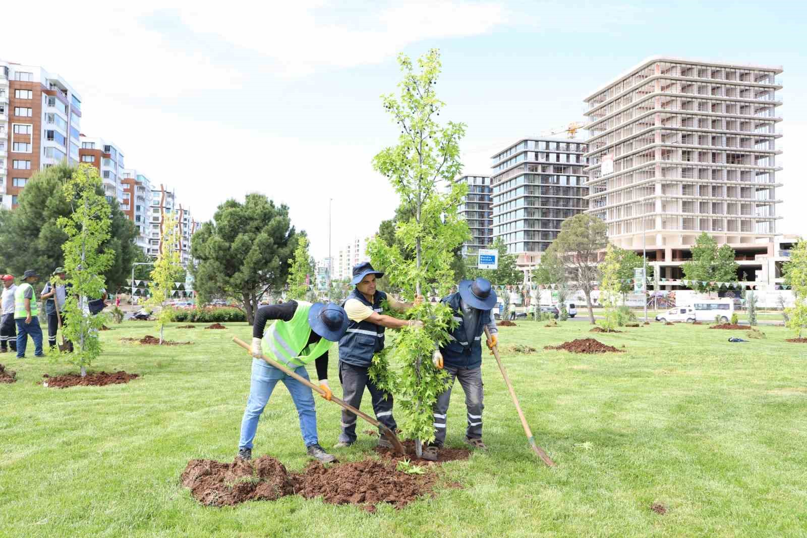 Mahabad Bulvarında peyzaj çalışmaları devam ediyor