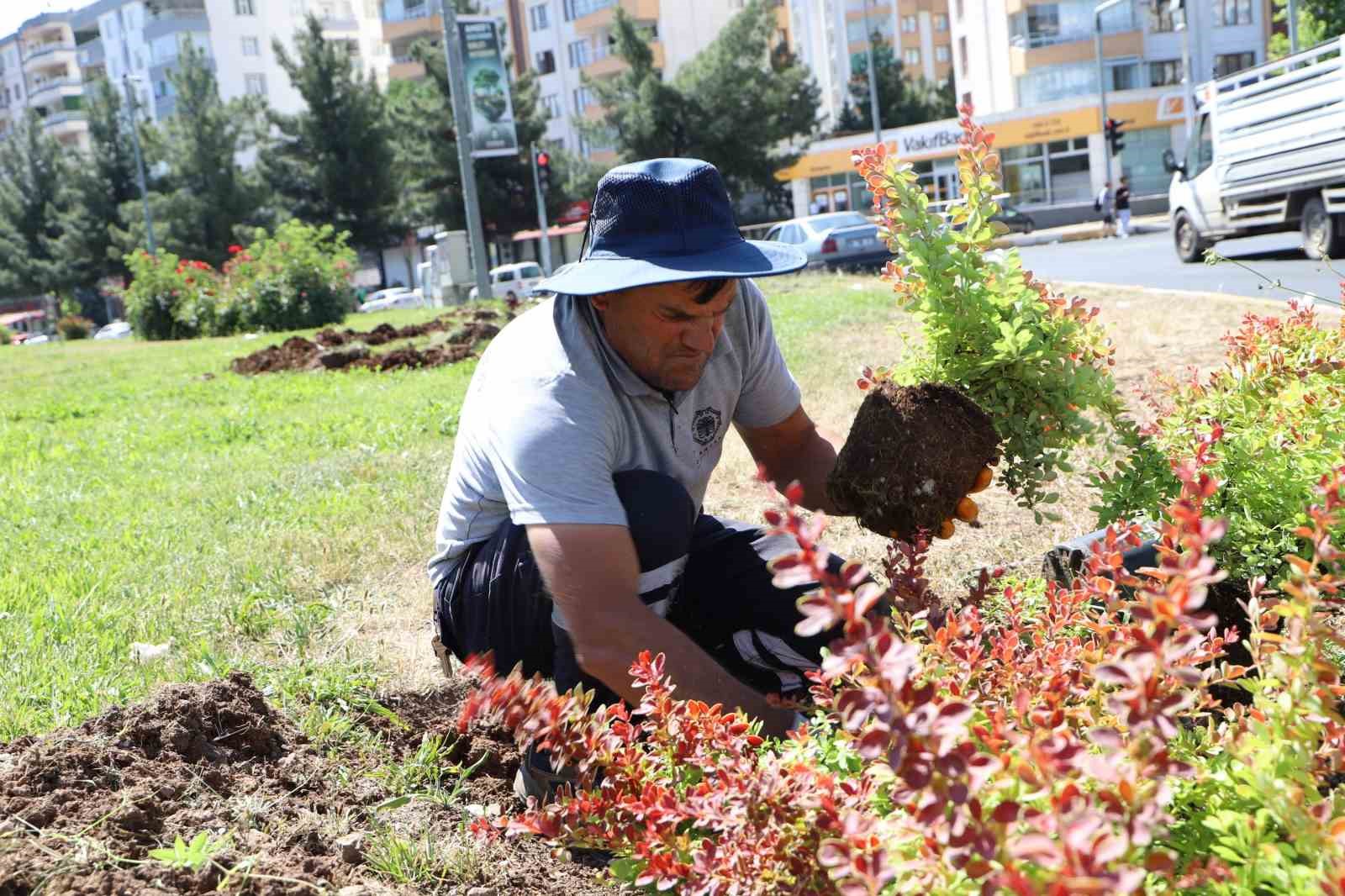 Mahabad Bulvarında peyzaj çalışmaları devam ediyor