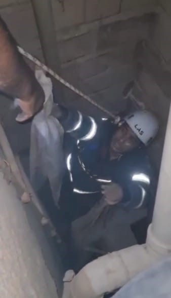 Şanlıurfa´da havalandırma boşluğuna düşen 3 yavru kedi kurtarıldı