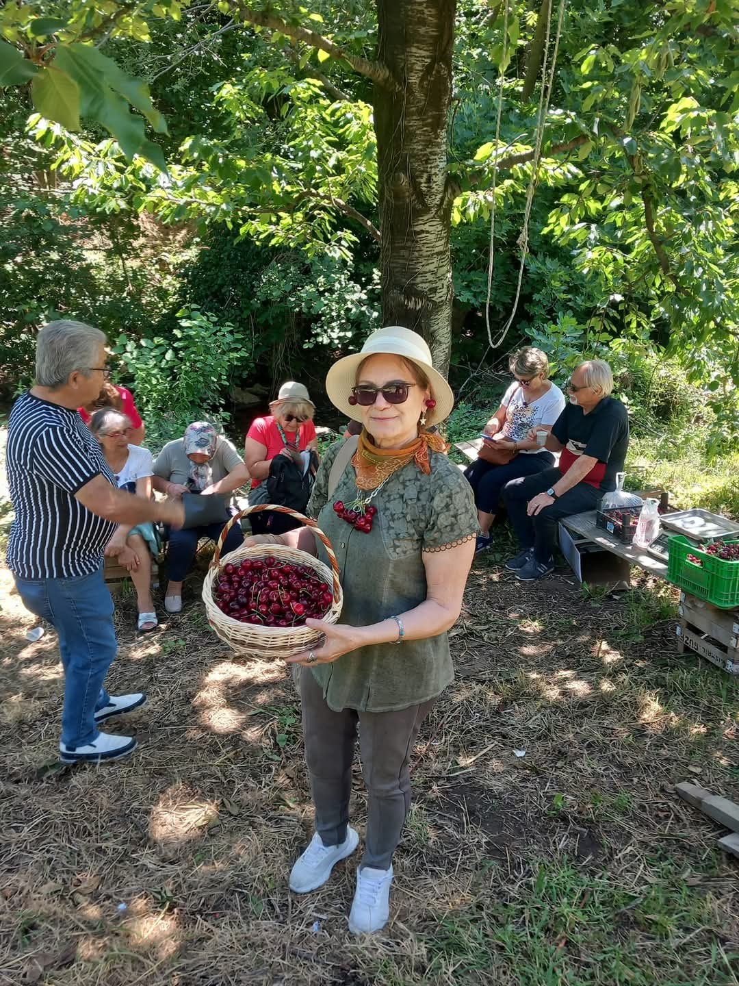 &Ccedil;anakkale&rsquo;yi turistlere tanıtmak i&ccedil;in bah&ccedil;elerinden meyve ikram ediyor
