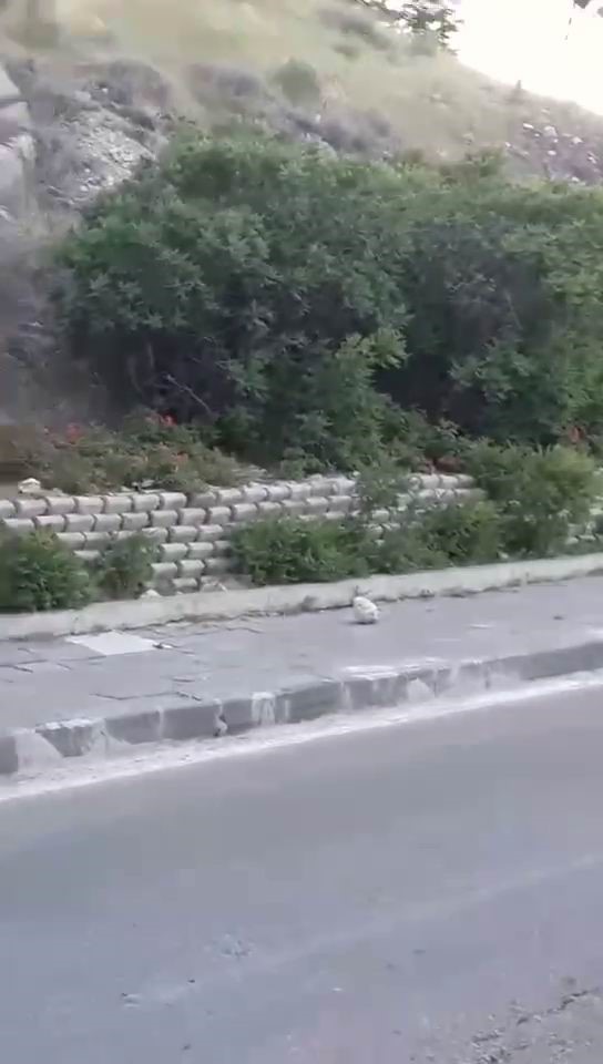 Sarp kayalıkların usta ismi bu kez tehlike sa&ccedil;tı
