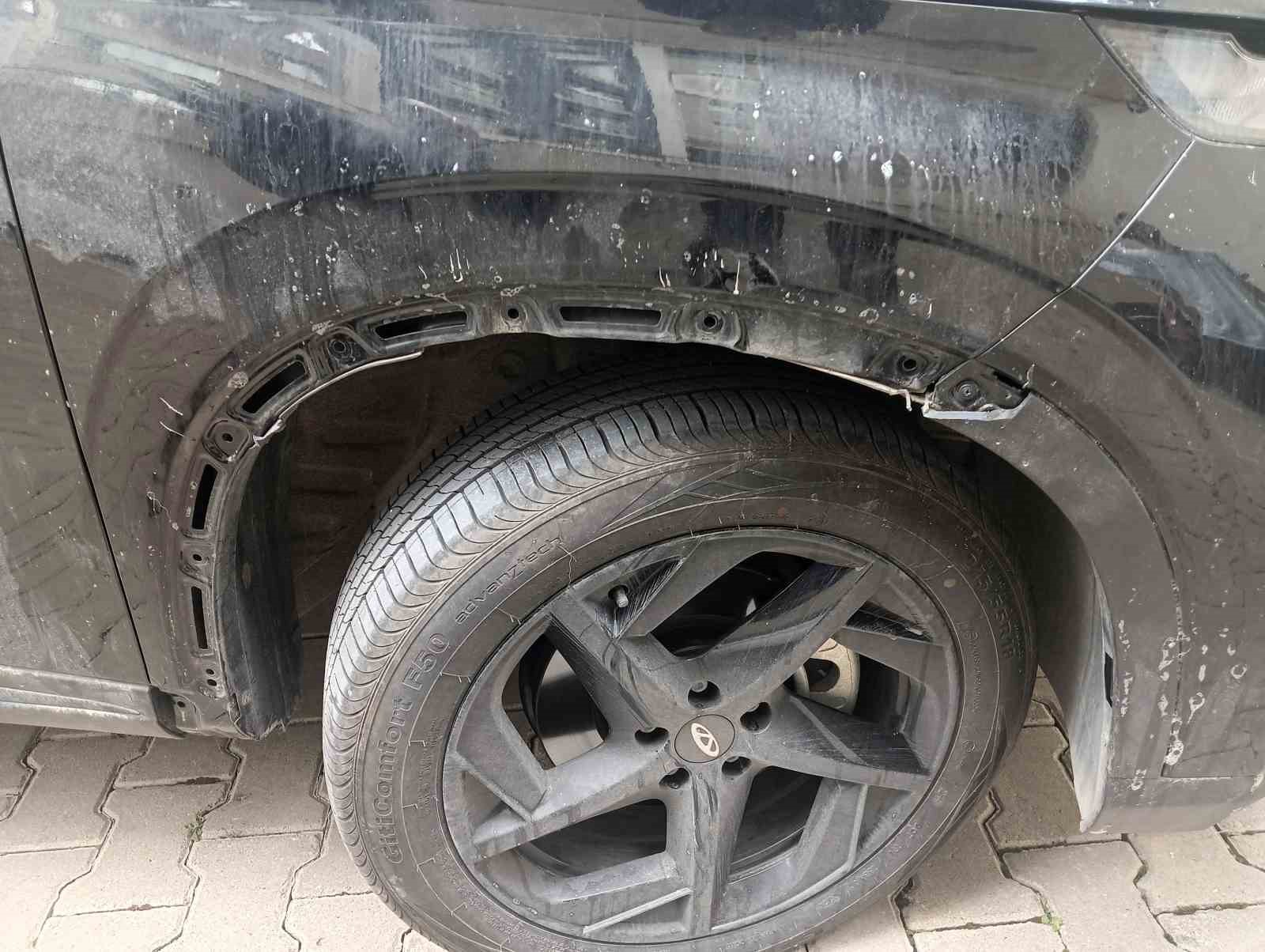 Sahipsiz köpek sürüsü park halindeki araca saldırarak zarar verdi