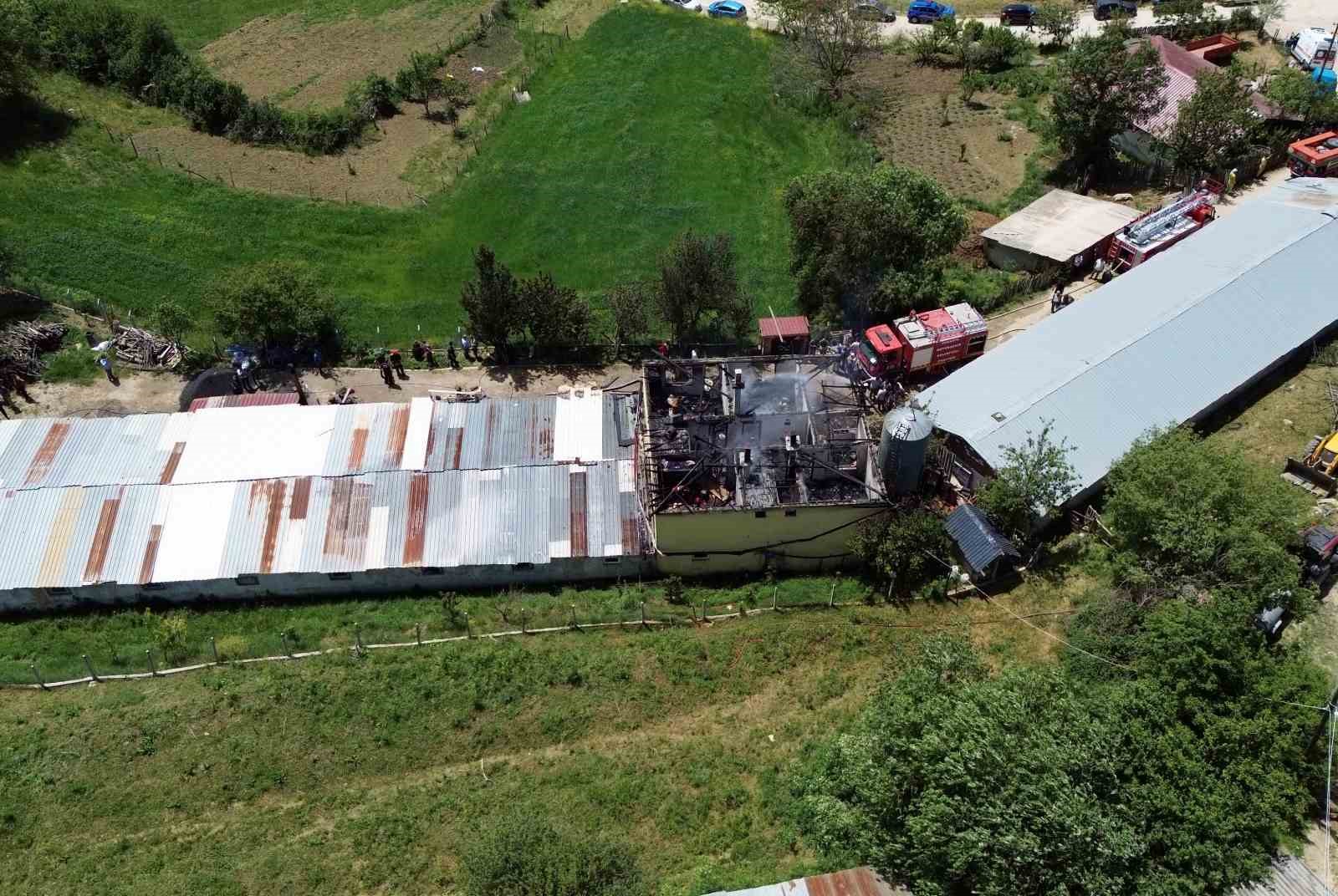 Tavuk çiftliğinde yangın: Binlerce hayvan telef olmaktan son anda kurtarıldı