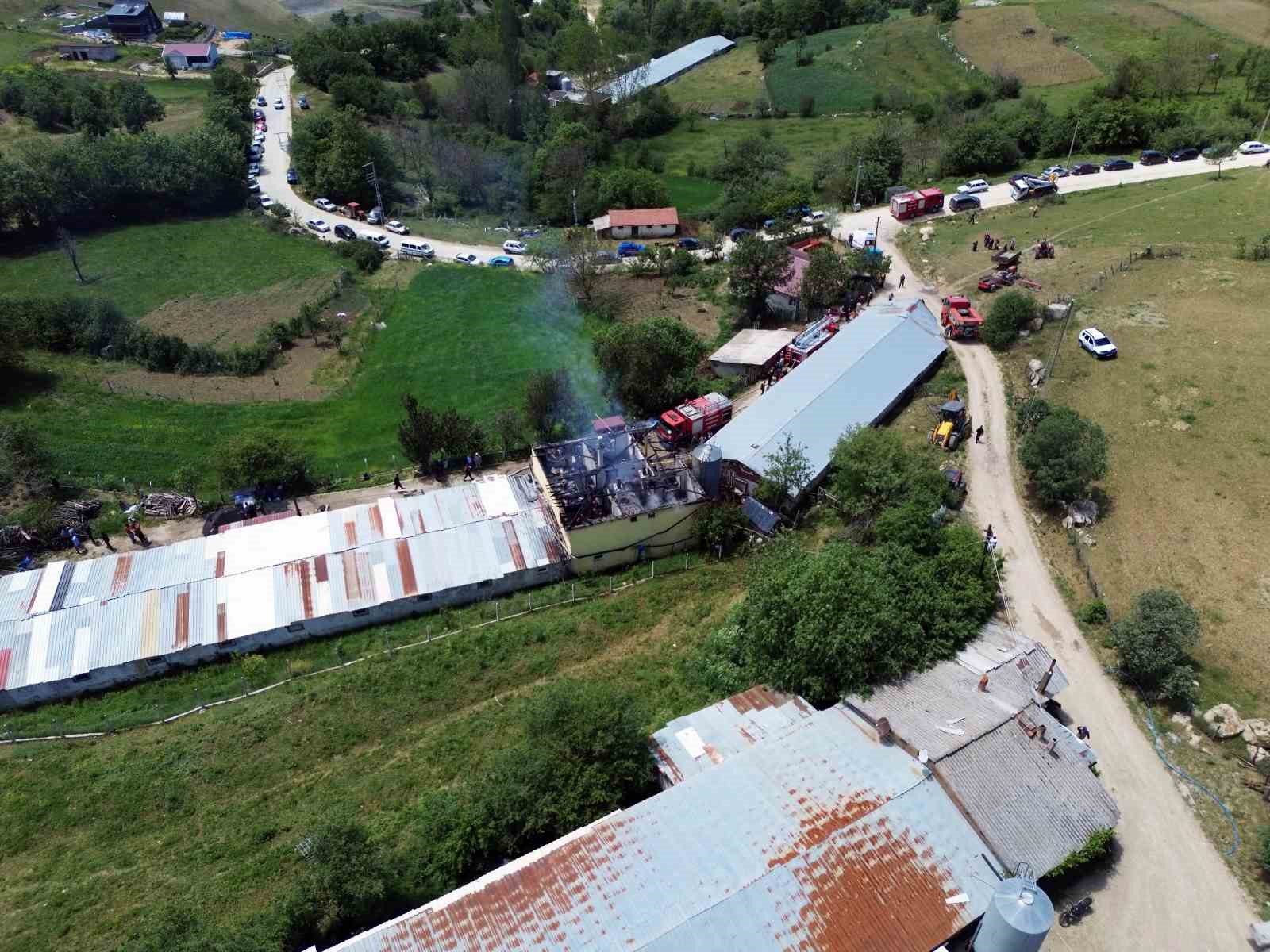 Tavuk &ccedil;iftliğinde yangın: Binlerce hayvan telef olmaktan son anda kurtarıldı
