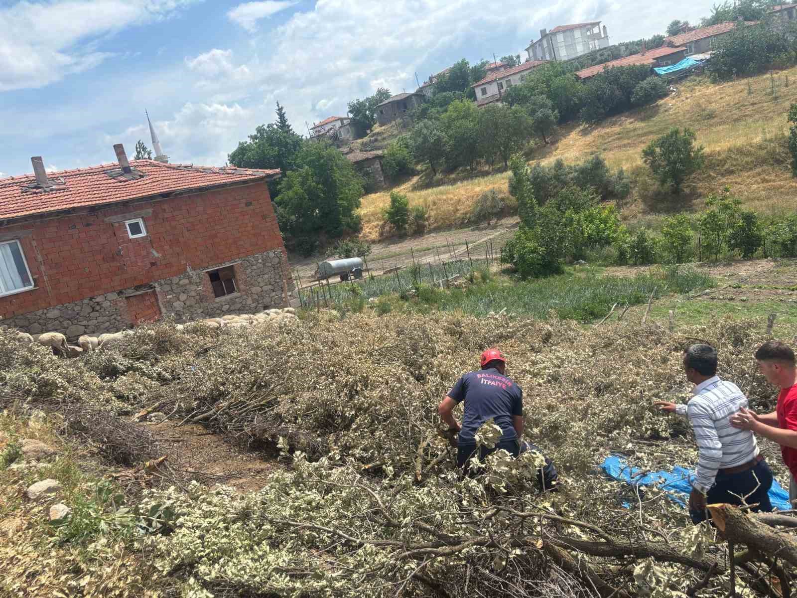 Sındırgı’da koyun damı çöktü, 2 koyun telef oldu
