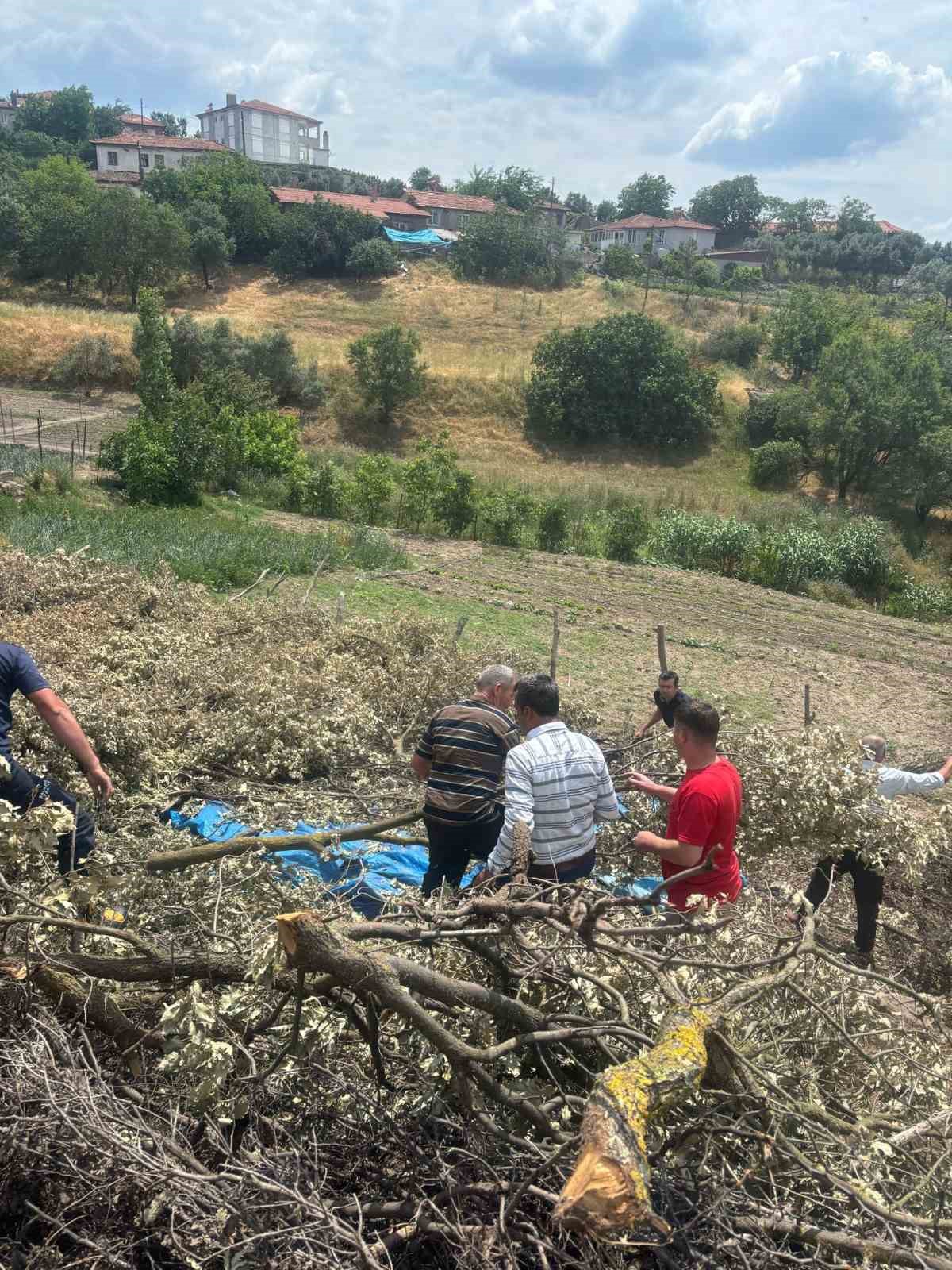 Sındırgı’da koyun damı çöktü, 2 koyun telef oldu