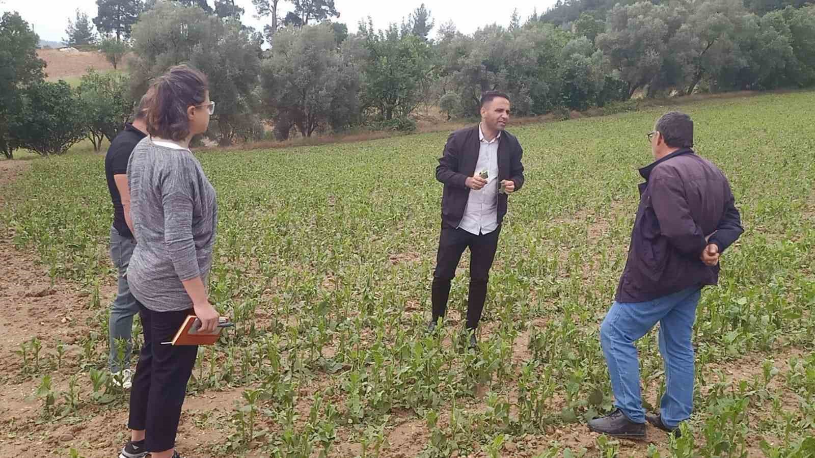 Büyükşehir’den dolu afetine karşı hızlı müdahale