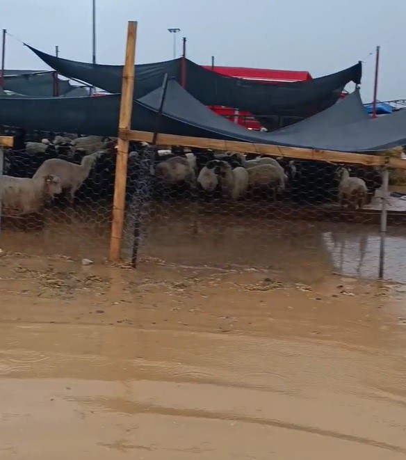 Torbalı&rsquo;da yağışın ardından kurban pazarını su bastı
