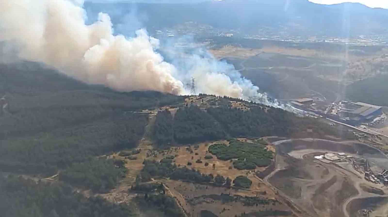 Aliağa’da orman yangını