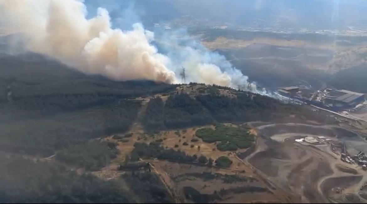 Aliağa’da ormanlık alandaki yangın kontrol altında