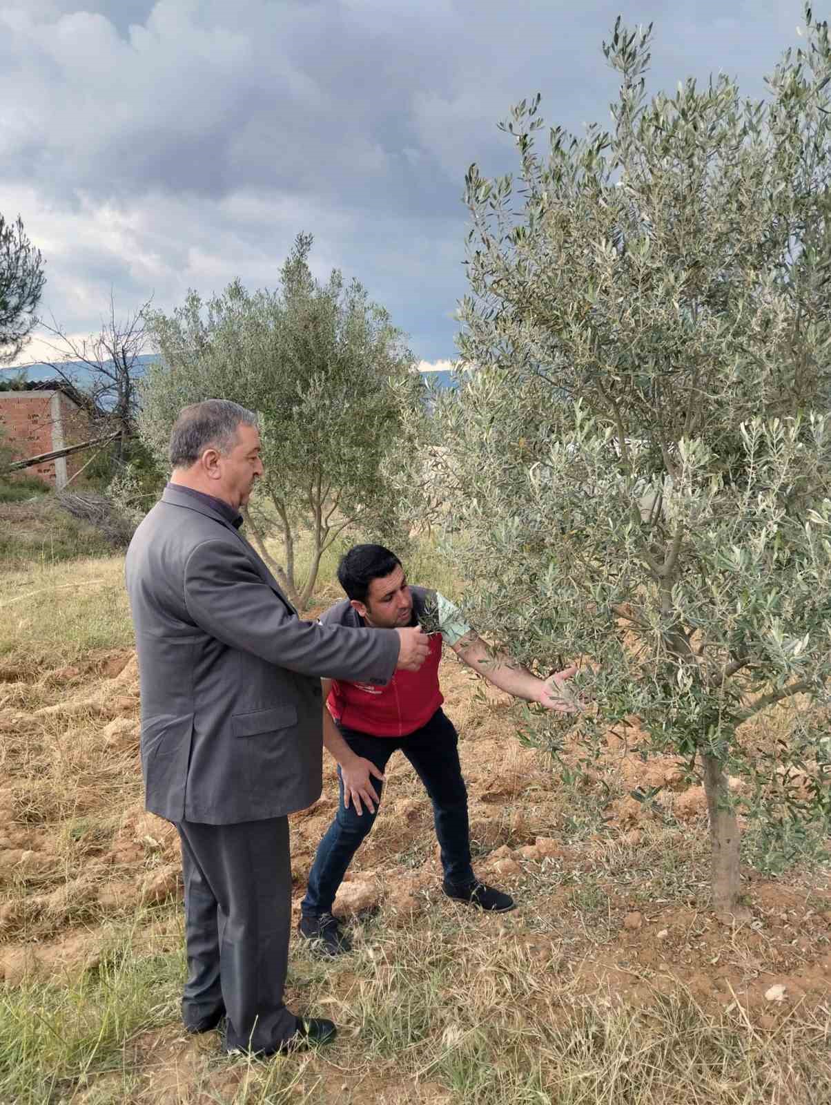 Dolunun vurduğu Esençay’da hasar tespiti yapıldı
