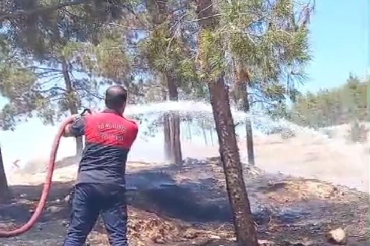 Sigara izmaritleri yangınlara neden oldu
