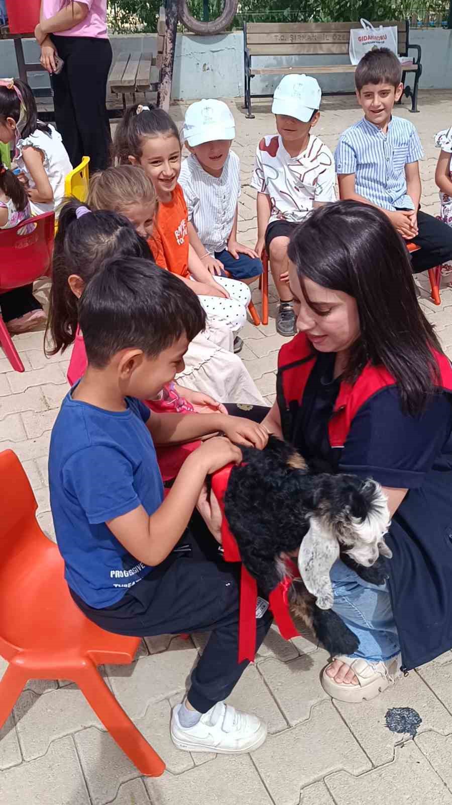 Şırnak’ta öğrencilere keçi sağımı uygulamalı olarak gösterildi