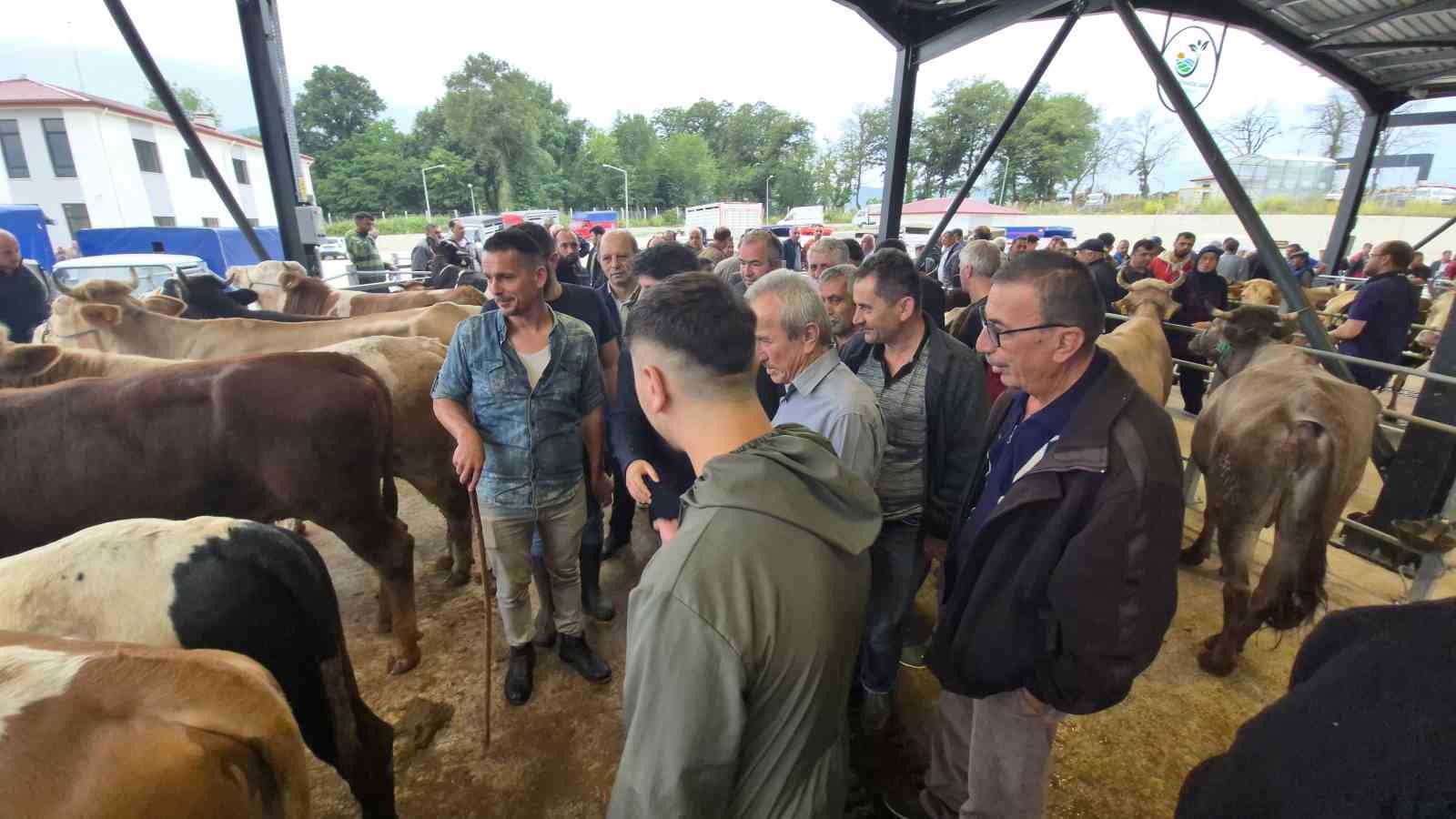 Bayrama sayılı günler kala kurban pazarları hareketlendi